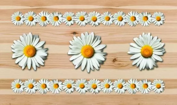 Бегун для ванны Dmora, 52x1x62 см, многоцветный