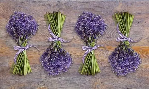 Бегун для ванны Dmora, 70x1x120 см, фиолетовый