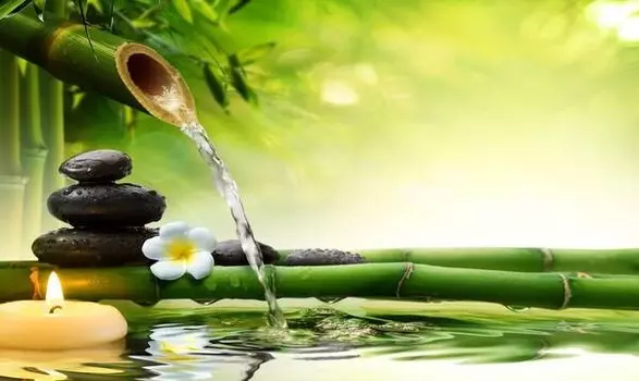 Бегун для ванны Ideallux, 52x1x62 см, многоцветный