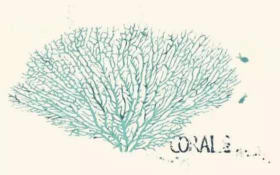 Бегун для ванны Ideallux, 52x1x62 см, многоцветный