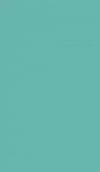 Бегун для ванны Ideallux, 52x1x62 см, многоцветный