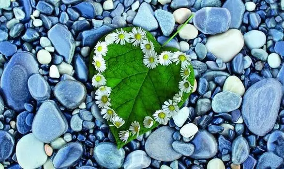 Бегун для ванны Ideallux, 52x1x62 см, многоцветный