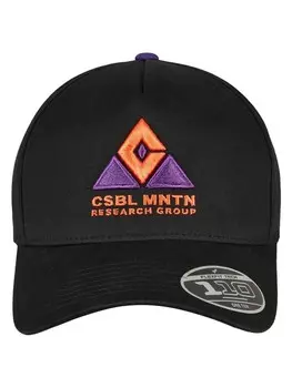 Бейсболка Cayler & Sons Dad s, цвет black/mc