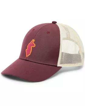 Бейсболка Cotopaxi Llama Trucker, цвет Wine