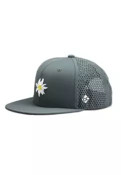 Бейсболка EDELWEISS Bavarian Caps, цвет grau