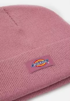 Бейсболка GIBSLAND BEANIE UNISEX Dickies, фиолетовый