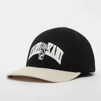 Бейсболка Karl Kani OG Eagle Embro, черный/бежевый