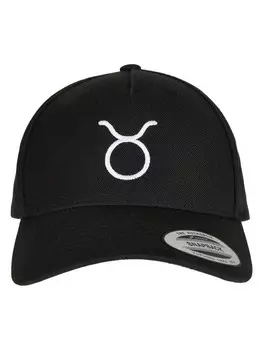 Бейсболка Mister Tee Snapback, цвет taurus