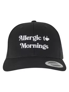 Бейсболка Mister Tee Trucker, черный