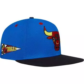 Бейсболка Pro Standard Chicago Bulls, роял