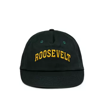 Бейсболка roosevelt 5-panel snapback hat Metalwood, зеленый