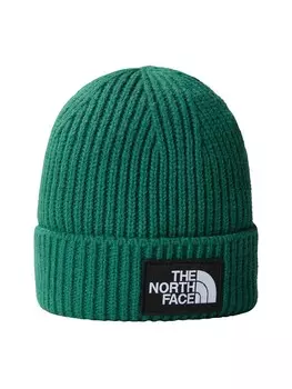 Бейсболка The North Face TNF LOGO BOX CUFFED BEANIE, зеленый