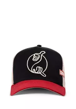 Бейсболка TRUCKER YINSHAKA Coastal, черный