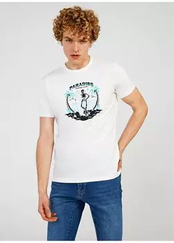 Белая мужская футболка с круглым вырезом с принтом TC 7120 The Crow, белый