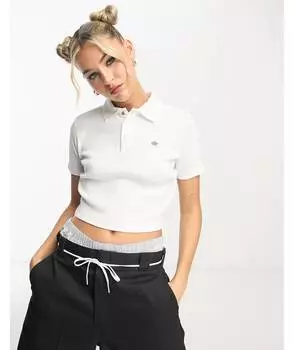 Белая рубашка поло в рубчик Dickies Tallasee