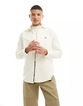Белая вельветовая рубашка Dickies Wilsonville