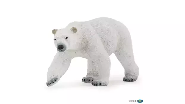 Белый медведь