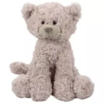 Беппе, кот-талисман Беатрис. Beppe