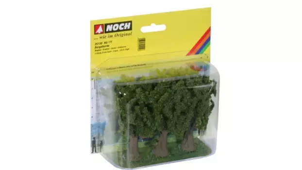 Бергах0рн Noch