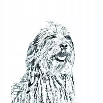 Бергамская овчарка Складное карманное зеркало Inna Marka