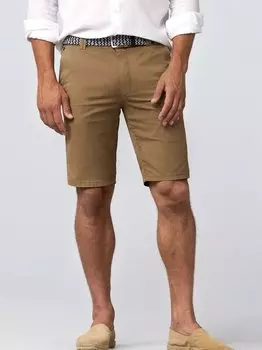 Бермудские острова пальма Meyer, коричневый