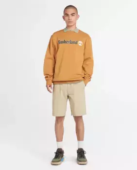 Бермуды мужские прямого кроя в стиле чинос Timberland, бежевый