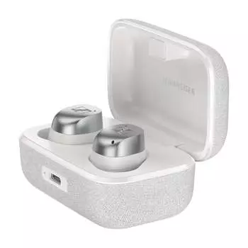 Беспроводные наушники Sennheiser Momentum True Wireless 4, серый