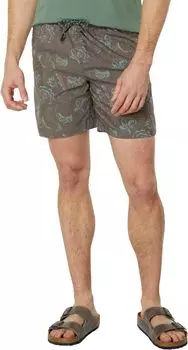 Безграничные шорты без застежки Toad&Co, цвет Olive Geo Line Print