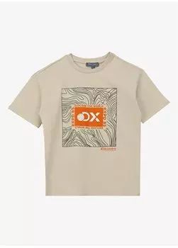 Бежевая базовая футболка с круглым вырезом для мальчиков с принтом D4SB-TST3042 Discovery Expedition, бежевый