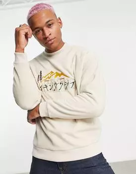 Бежевая флисовая толстовка оверсайз с горной вышивкой ASOS DESIGN