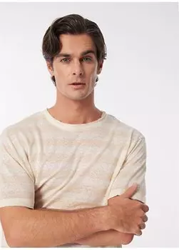 Бежевая мужская свободная футболка с круглым вырезом в полоску F4SM-TST 0245 Fabrika, бежевый