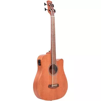 Безладовый акустико-электрический MicroBass Natural, 25-дюймовая мензура золотого тона
