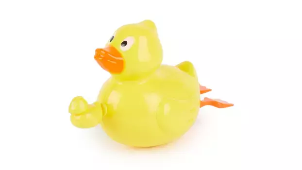 Bieco Заводная утка