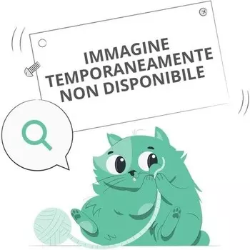 Bionike Defense Color Sun Touch Terra Compact 206 Мозаика