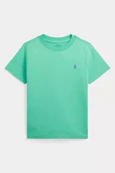 Бирюзовая зеленая футболка для мальчика Polo Ralph Lauren, зеленый