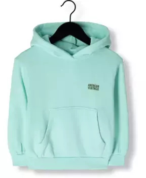 Бирюзовый свитер изубирд детский American Vintage, синий