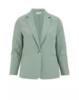 Блейзер WE Fashion, пастельный зеленый