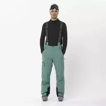 Блестящие мужские шорты Salomon, серый