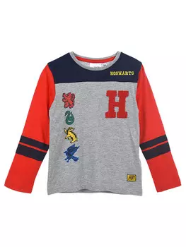 Блуза Kids Movie Heroes HARRY POTTER, красный