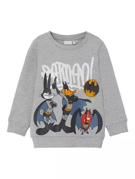 Блуза Name It NMMARNY LOONEY SWEAT BRU WAB, серый
