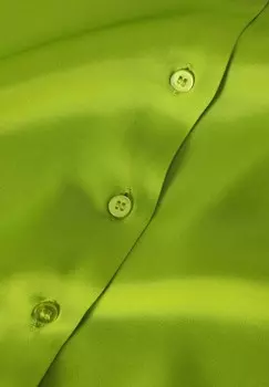 Блузка на пуговицах NIKA TATUUM, зеленый