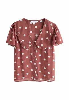 Блузка на пуговицах PETER PAN COLLAR SHEER SHORT SLEEVE Next, коричневый