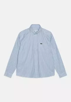 Блузка-рубашка LONG SLEEVED ESSENTIALS UNISEX Lacoste, цвет phoenix blue/white abysm