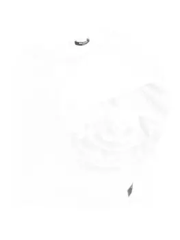 Блузка с оборками Balmain Kids, белый