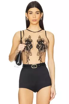 Боди Safiya Bluebella, black & sheer