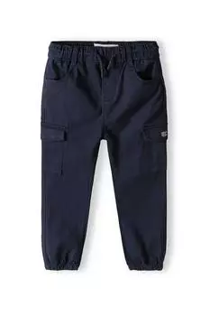 Боевые штаны Minoti, синий