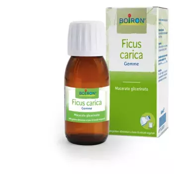 Boiron Ficus Carica Macerate Glycerinate 60 мл Экстракт бутонов