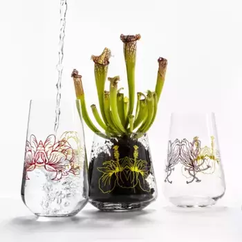 Бокалы Crystalex, золотой