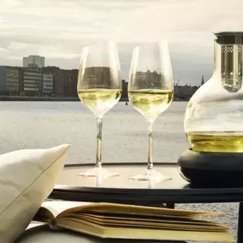 Бокалы Eva Solo