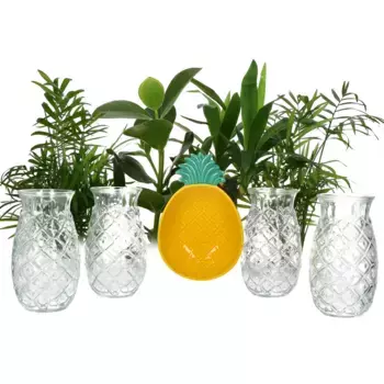 Бокалы MamboCat